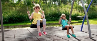 Lomtjärnsparken åldras som ett fint vin – utvecklas år för år