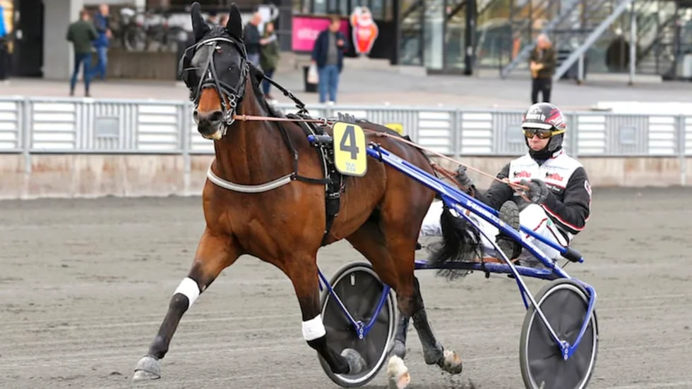 Breeders' Crown-vinnaren Selmer I.H byter Umåker mot Skellefteåtravet.