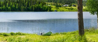 Vattenfall halverar vindkraftverken 