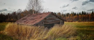 Läsarbilden: Inbäddad lada    