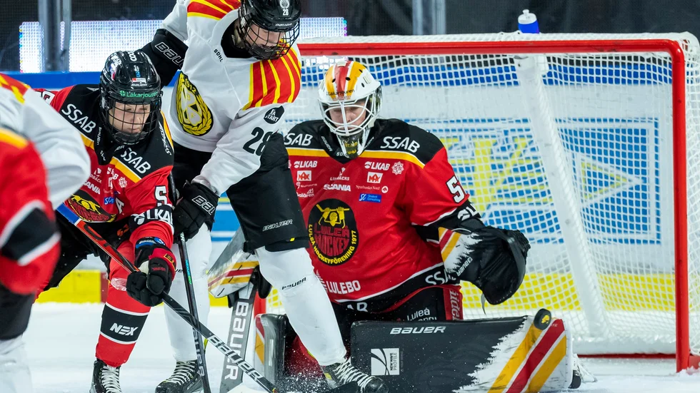 Luleå Hockey/MSSK–Brynäs.