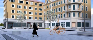 Fin cykel – men eländigt träd 