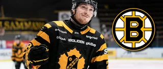 Frödén om tiden i Skellefteå, NHL-drömmen – och häftiga trenden: ”Håller mig till klädkoden”