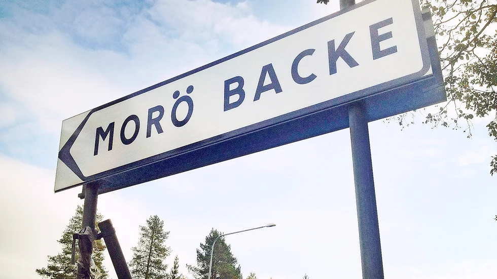 Våldsdamat inträffade i en lägenhet på Morö Backe i Skellefteå kvällen och natten mellan den 24 och 25 maj.