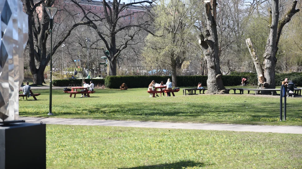 Stadsträdgården, Uppsala