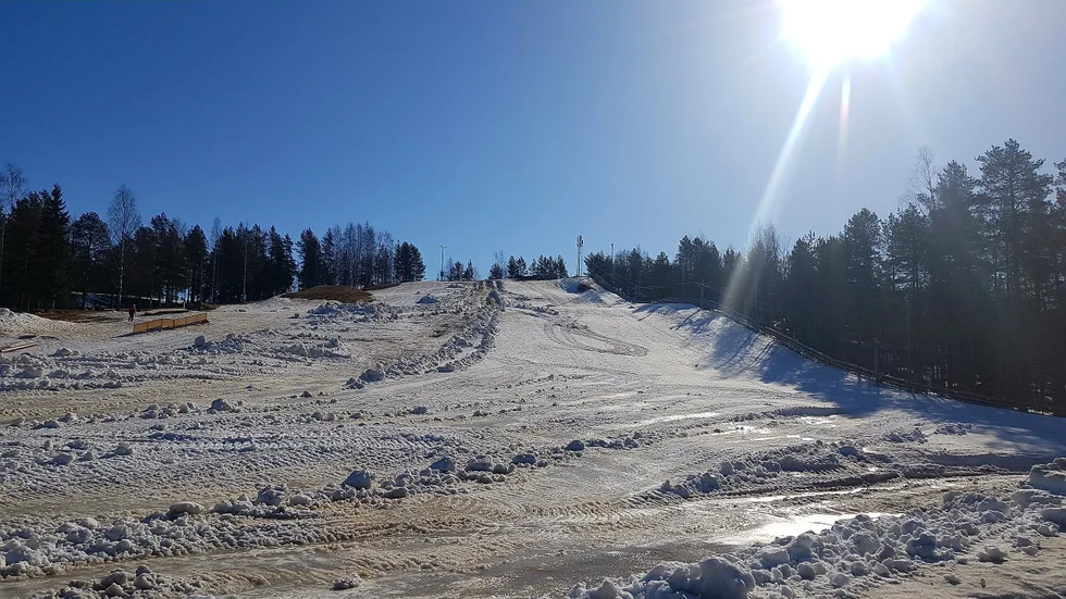 Ormberget