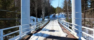 Läsarnas egna bilder av vårvintern