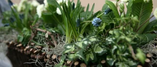 Grävde ner narkotikaklassade tabletter i blomlåda • Iakttogs av vittne 