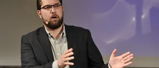 Åkesson: Kvinnor nyckel för valframgång