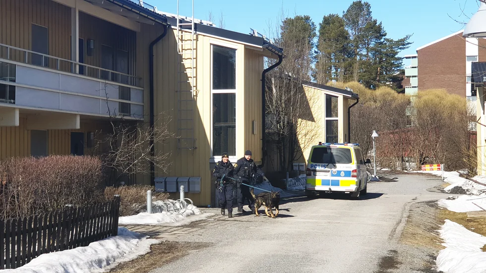 Polis genomförde en större insats i en bostad på Porsön förra veckan.