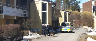Två personer gripna efter stor polisinsats på Porsön • Polisen: "Förundersökning pågår"