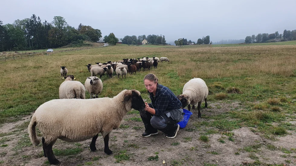 Under Aptitrundan får besökarna besöka djuren på Onsberga Gård.