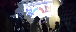 Varför inte göra som i USA – val till en senat?