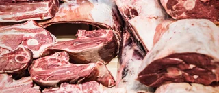 Public service borde granska köttpolitiken