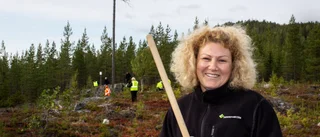 En geologisk vandringsstig växer fram – ”Upptäck sevärdheter såsom kuddlava och flyttblock”