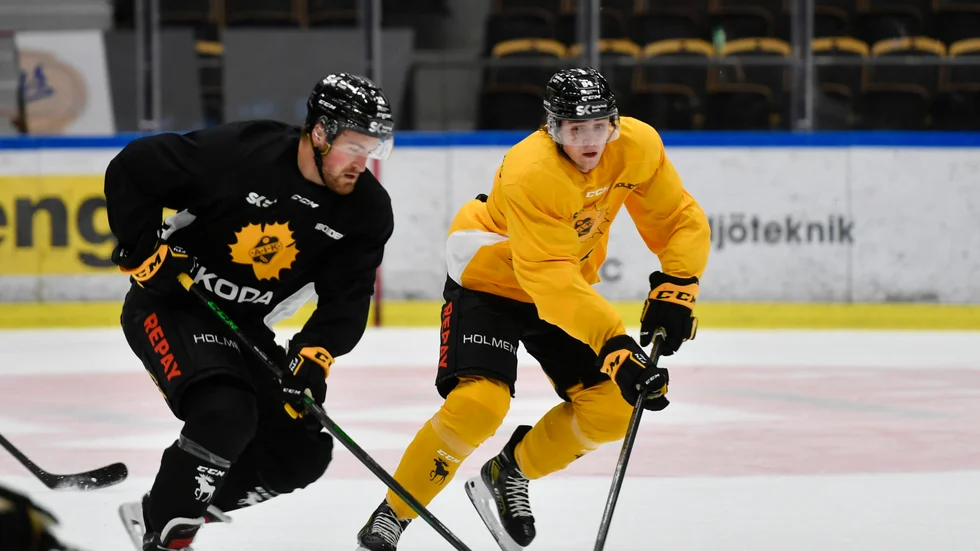 Linus Karlsson Skellefteå AIK