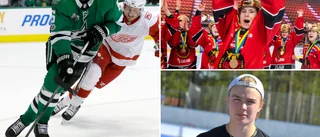 Finländarna tror på succé för Luleå Hockeys prestigevärvning