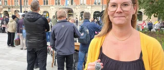 Farföräldrarnas present fick sitt värde i Antikrundan