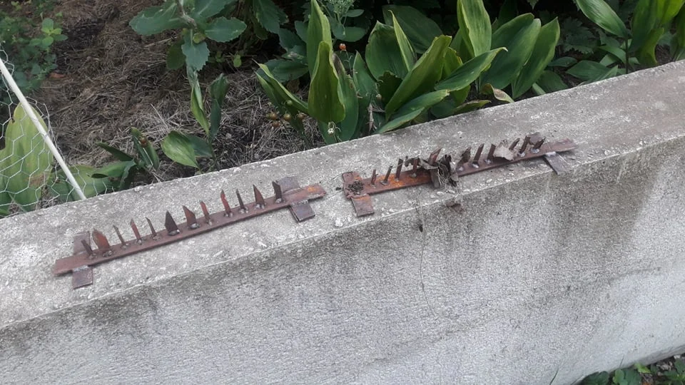 Spetsarna är vassa och hade kunnat skada djur, men också fått bilister att få punktering med risk att köra av vägen.