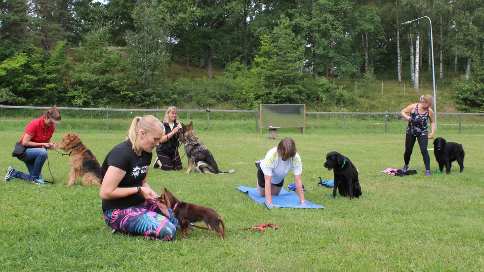 Gamleby Brukshundklubb har testat en ny grej: Sund med hund, där ägare och hund motionerar ihop. Närmast i bild Frida Nilsson och Puma.