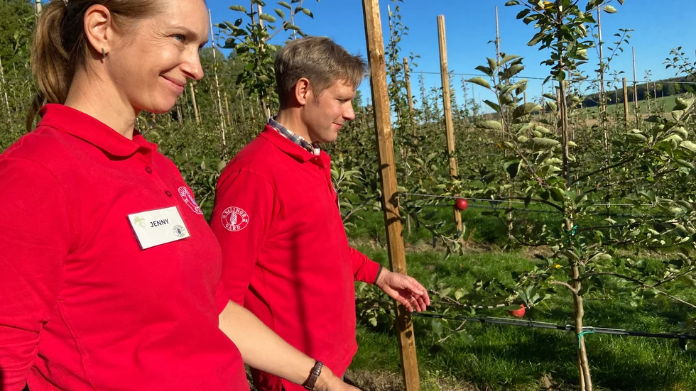 Jenny och Gunnar Gullstran har startat ekologisk odling av äpplen och hoppas de ska kunna säljas i lokala butiker framöver.