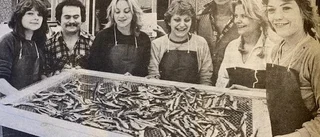Ur PT:s arkiv: Då var det november 1981