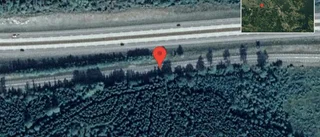 Just nu: Fallna träd skapar problem i trafiken på väg 900