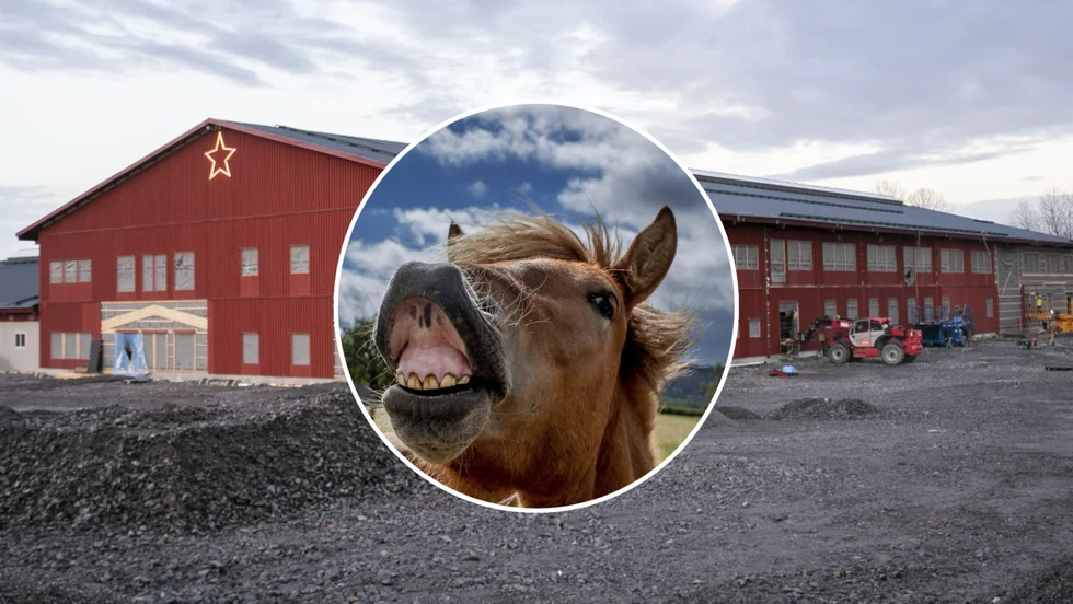 Ridanläggningen Nyäng har byggts med goda ambitioner, men utan en ridskola går en bärande del av poängen med investeringen förlorad. 