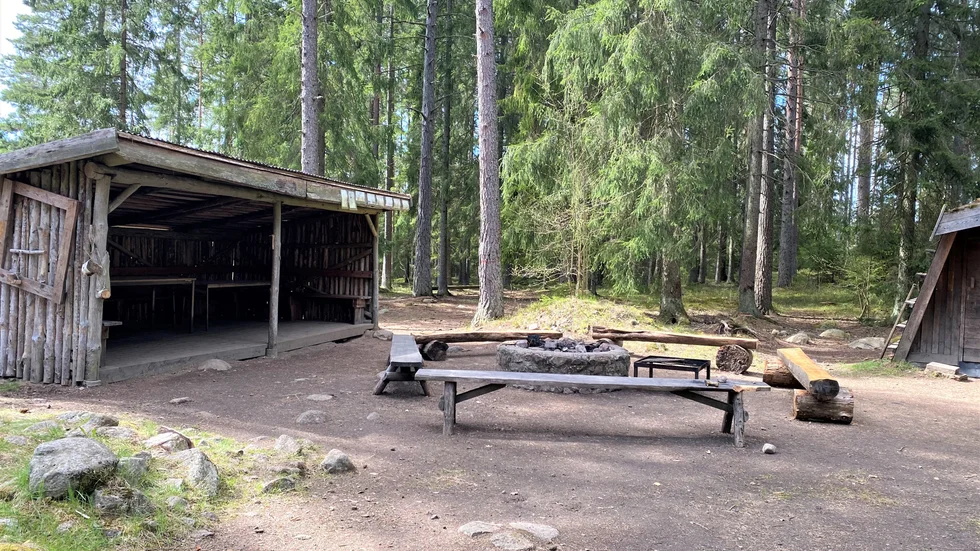 Skolskogen i Hörestadhult kan ha fallit offer för korvgrillande familjer i mängder under pandemin eller så har någon helt sonika stulit veden. Oavsett är det en och en halv kubik ved som gått upp i rök.
