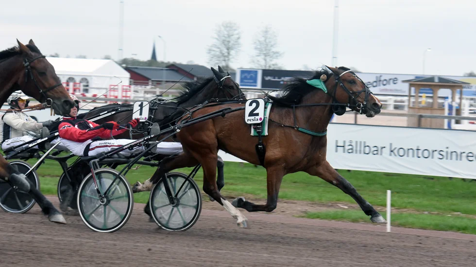 2019 vann Lars Holmberg sin senaste seger som amatörtränare. Igår var det dags igen när hans sto Runkeeper M.J. avgjorde lätt till hennes första triumf i 17:e försöket. 
