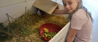 Här blev alla klappade