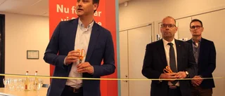 Energibolagen kräver bättre elnät