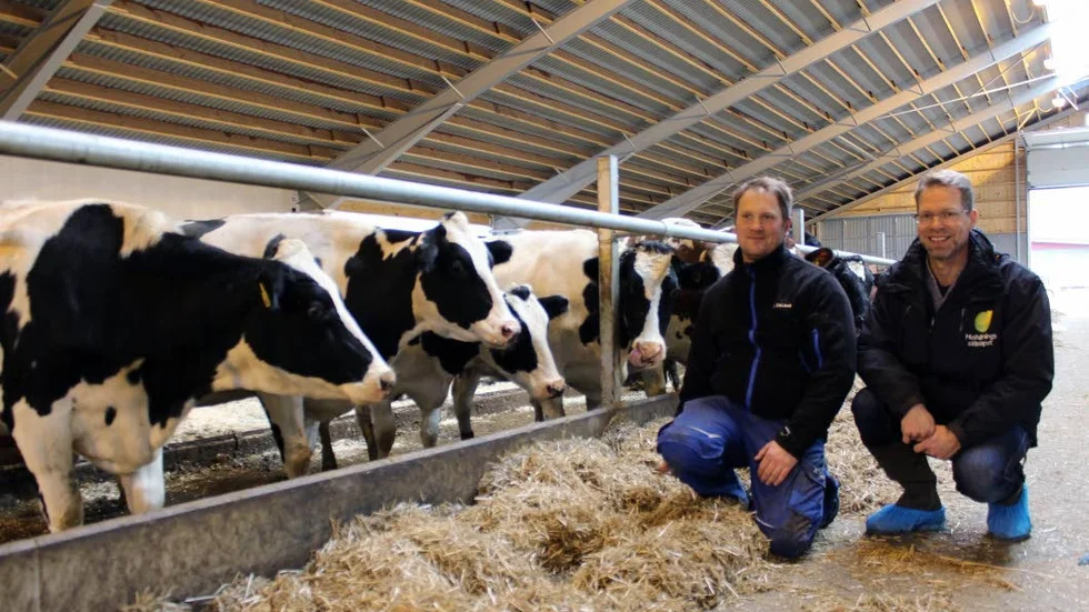 Nybyggt. Gabriel Jonsson, lantbrukare, och Kjell Haglund, Hushållningssällskapet, tillsammans med några av invånarna i den nya ladugården.