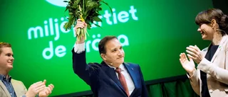 Miljöpartiet till attack mot Miljöpartiet