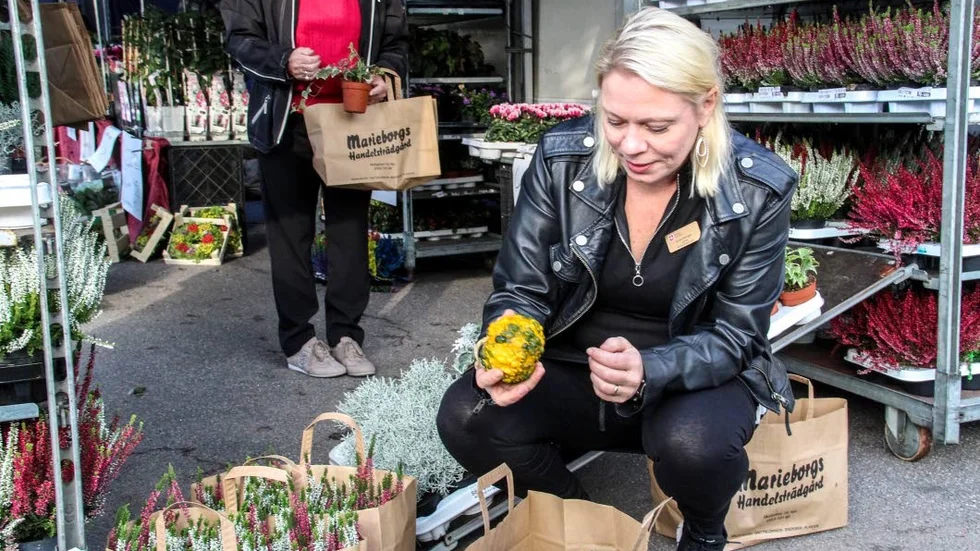 Höstblommor och minipumpor blir dagens fynd för Emeli Ydringer.