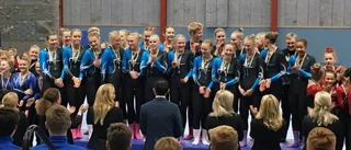 Wifolka blev riksmästare