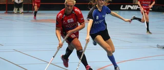 Ett division 2-lag är en "jätte-ambition" för Fjädern