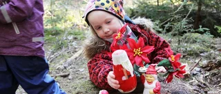 Hundratals tomtar semestrar i Smedsby