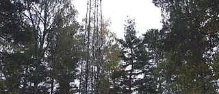 Protest mot hög radiomast i Kisa