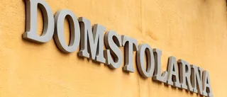 Stal fjorton skoldatorer – döms