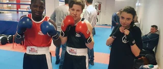 Motalaboxare bra i Linköping