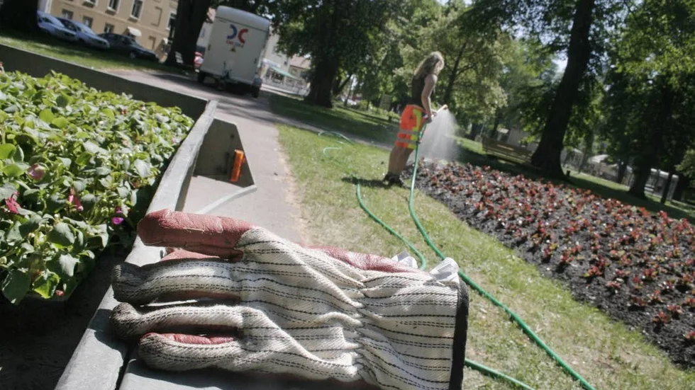 Det finns oklarheter i om gata- och parkenheten är kostnadseffektiv.