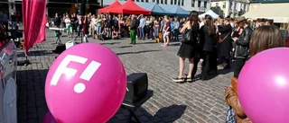 Ingen succé för småpartierna