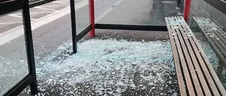 Linghemsbor kräver övervakningskameror