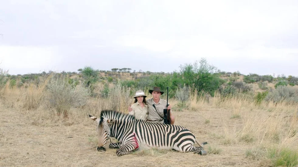 Curlade, övertaggade storviltsjägare att instinktivt avsky finns det gott om i "Safari".