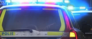 Pojken ljög om spray-attacken