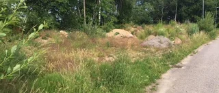 Varningen: Låt inte barn gå själva