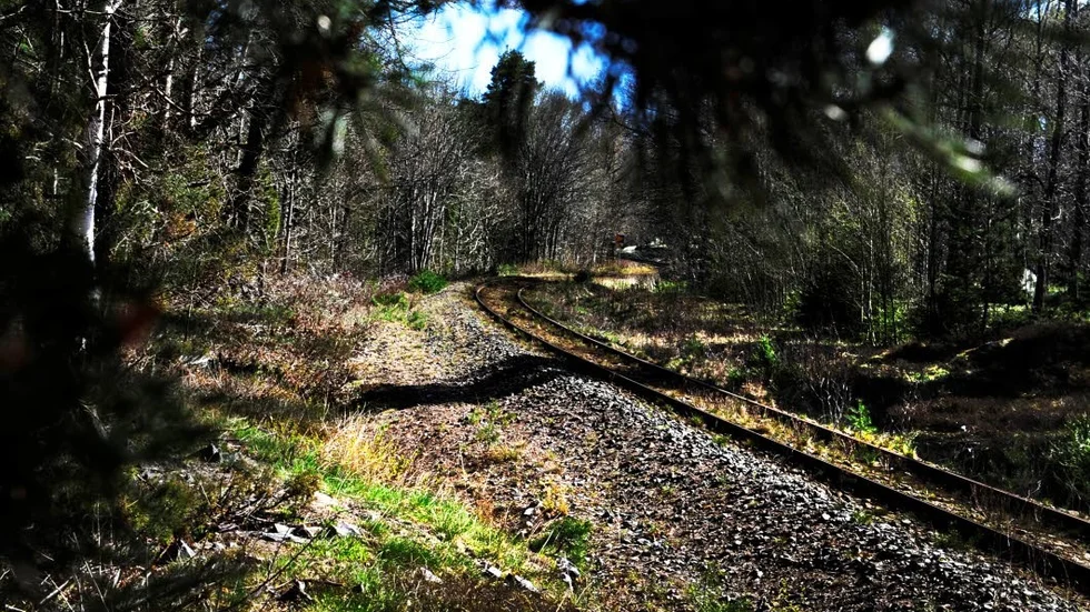 Satsa på sjukvården i stället för att köpa nya tåg till dålig räls, föreslår skribenten.