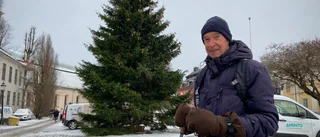 Nu står den där: årets julgran – ingen fulgran, tycker Per-Olow