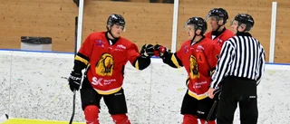 Skilda världar för SK Lejon och Burträsk HC i Alltvåan